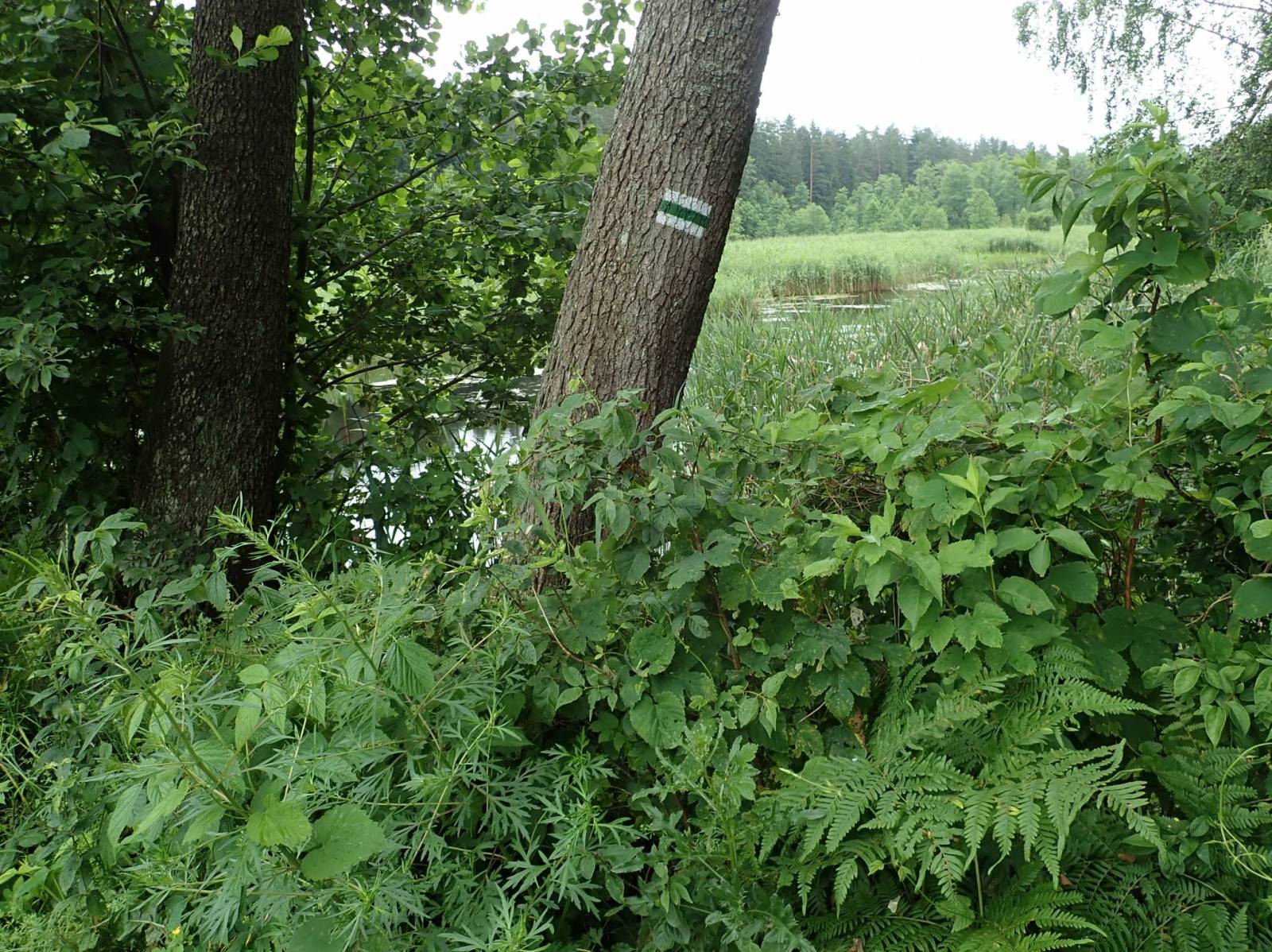 Zdjęcie 2