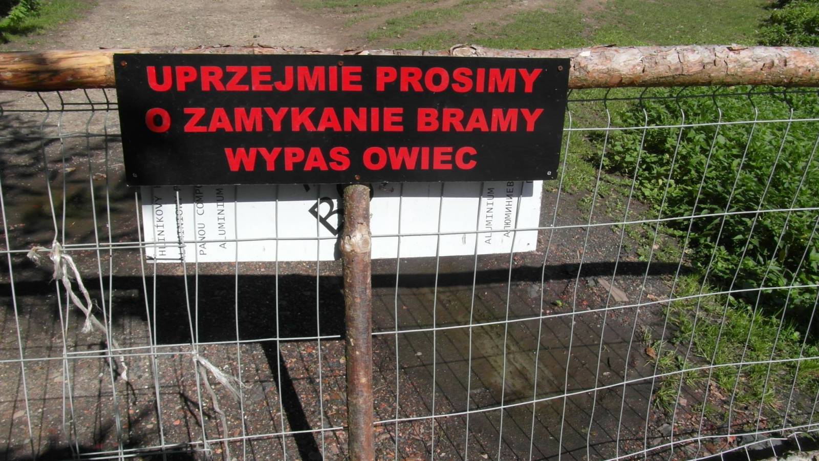Zdjęcie 6