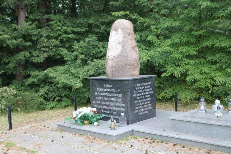 Zdjęcie 6