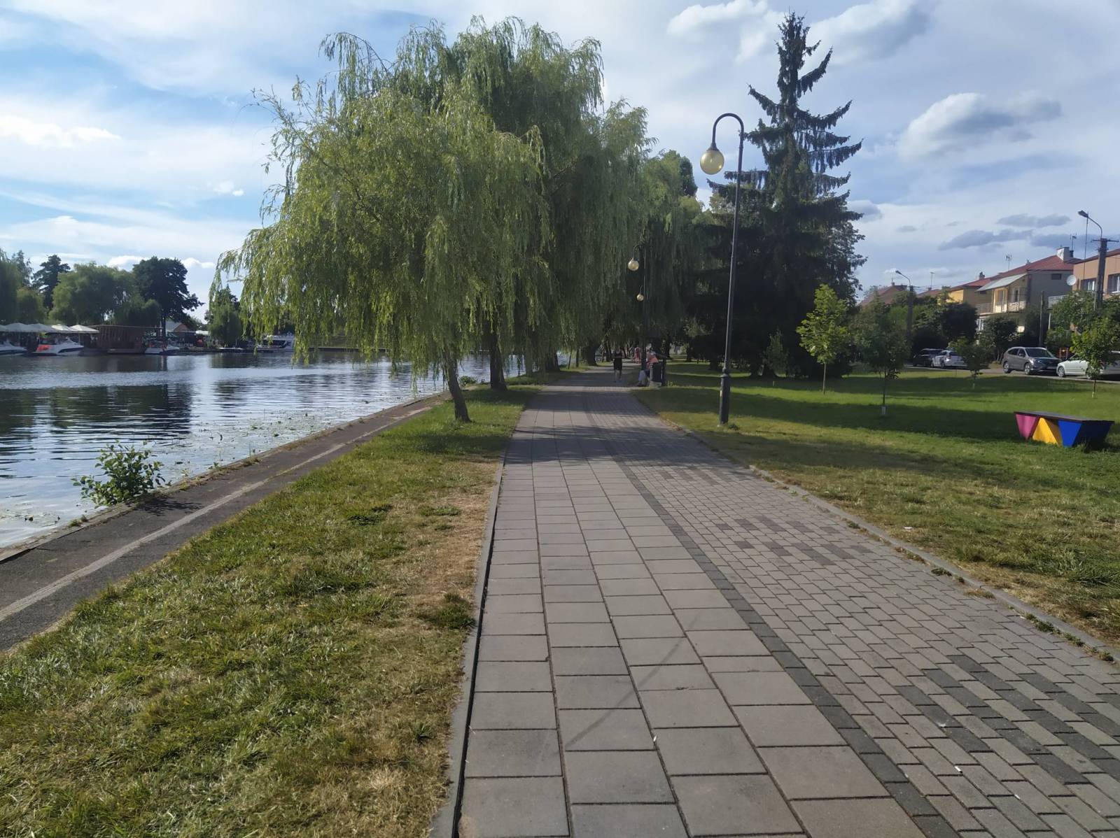 Zdjęcie 3