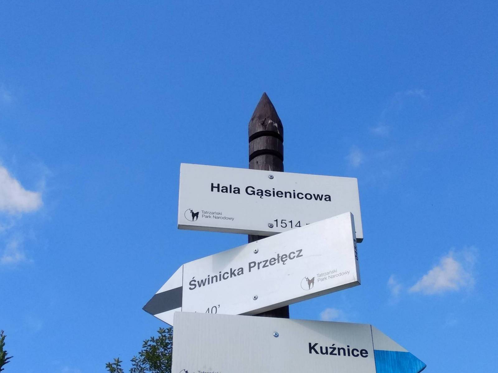 Zdjęcie 5