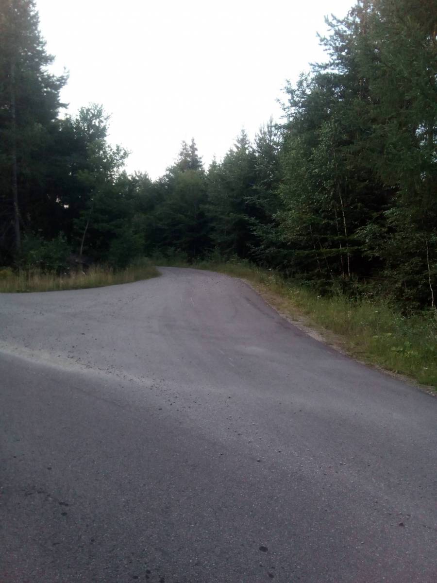 Zdjęcie 6