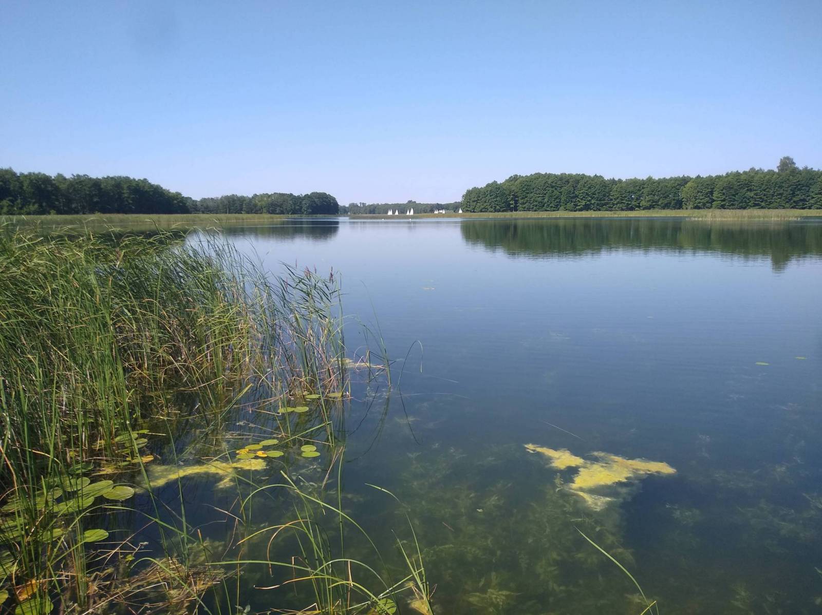 Zdjęcie 6