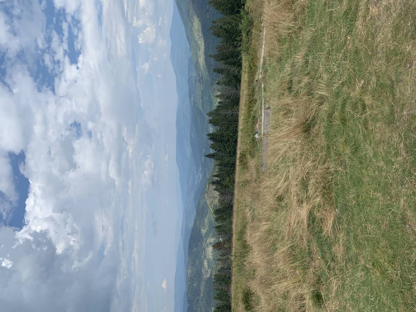 Zdjęcie 6