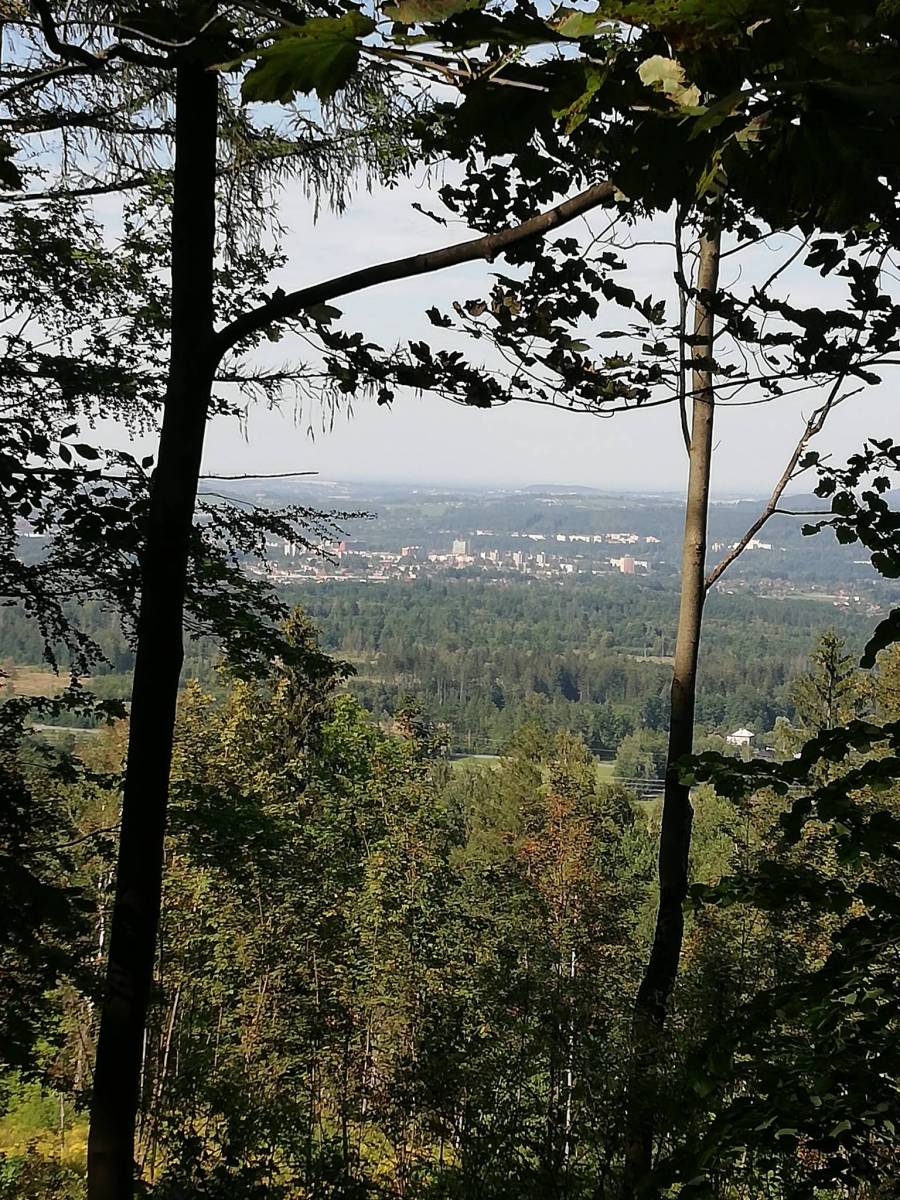 Zdjęcie 6