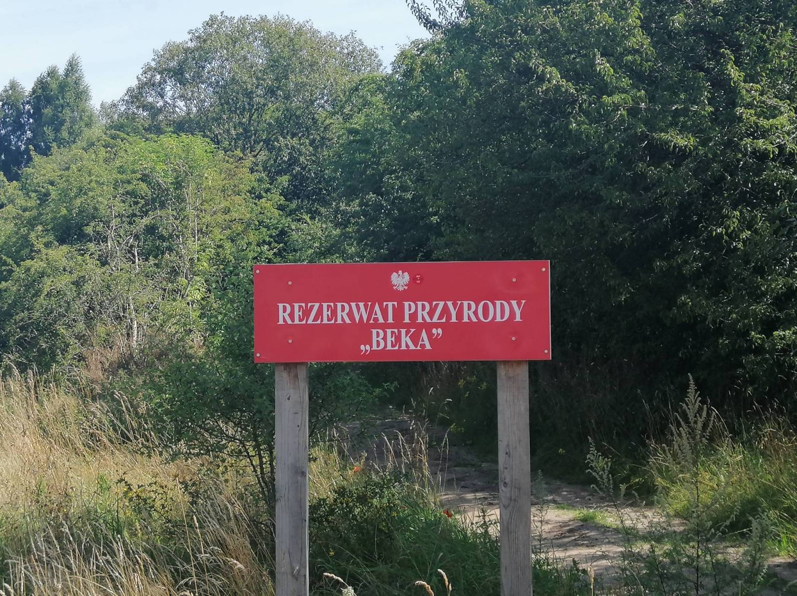 Zdjęcie 6