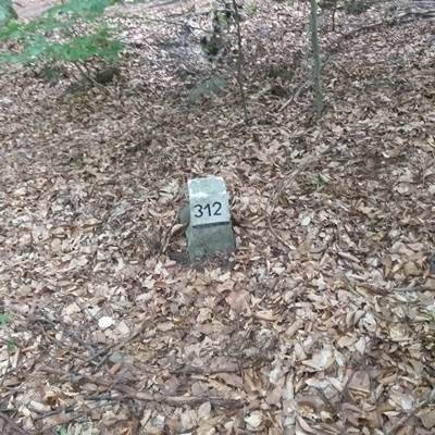 Zdjęcie 2