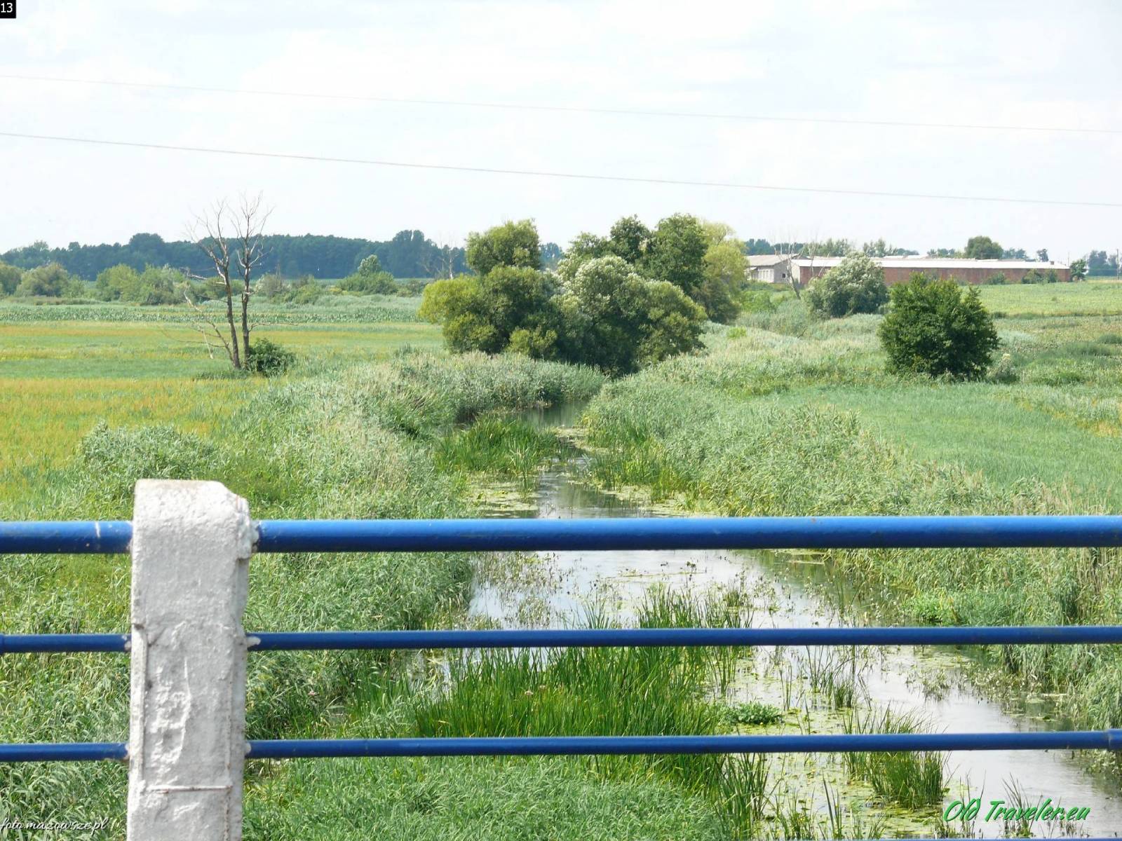 Zdjęcie 5