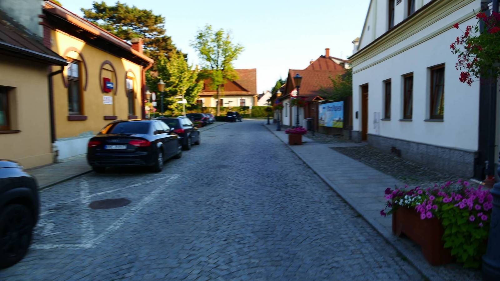Zdjęcie 5