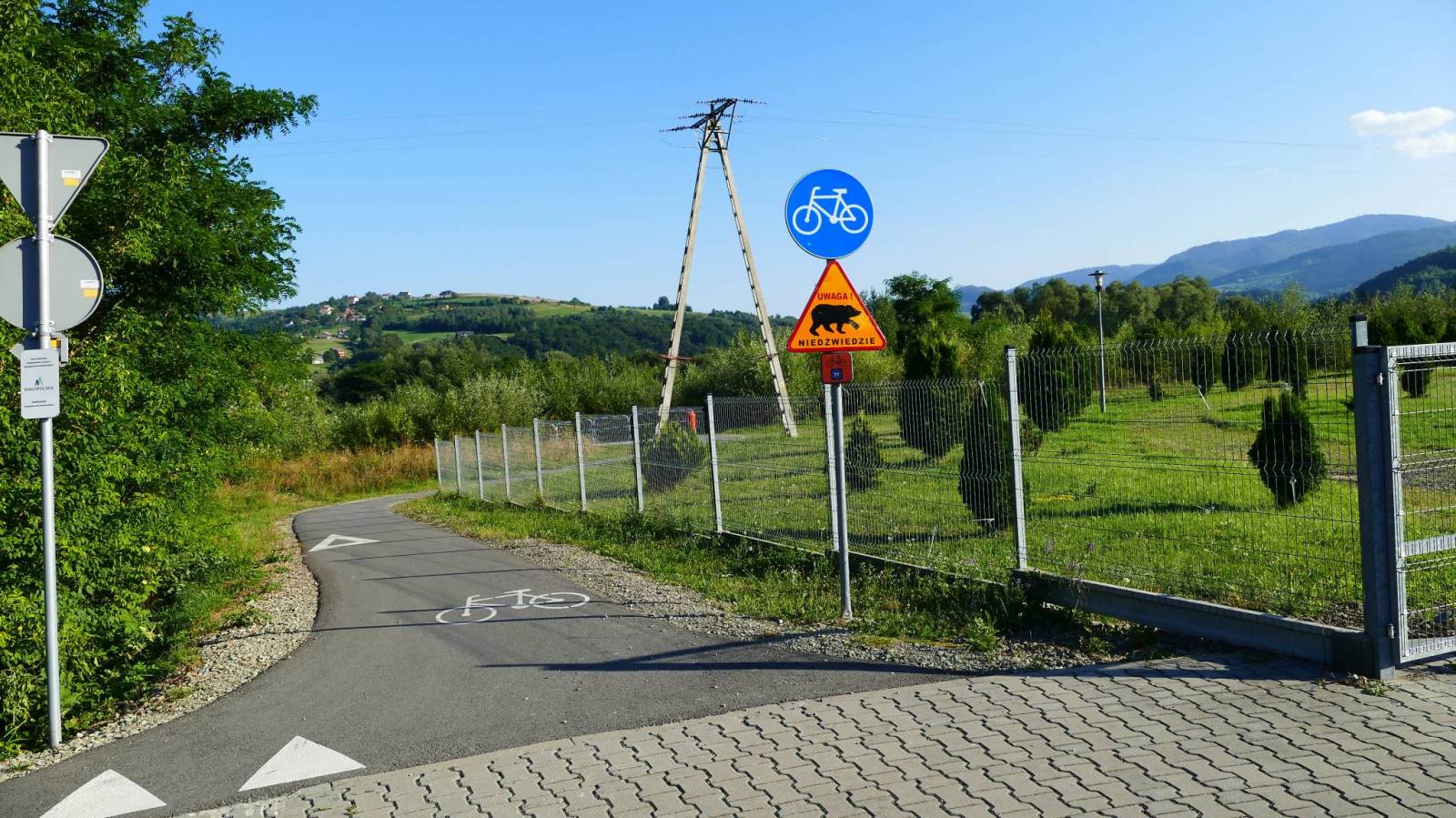 Zdjęcie 6