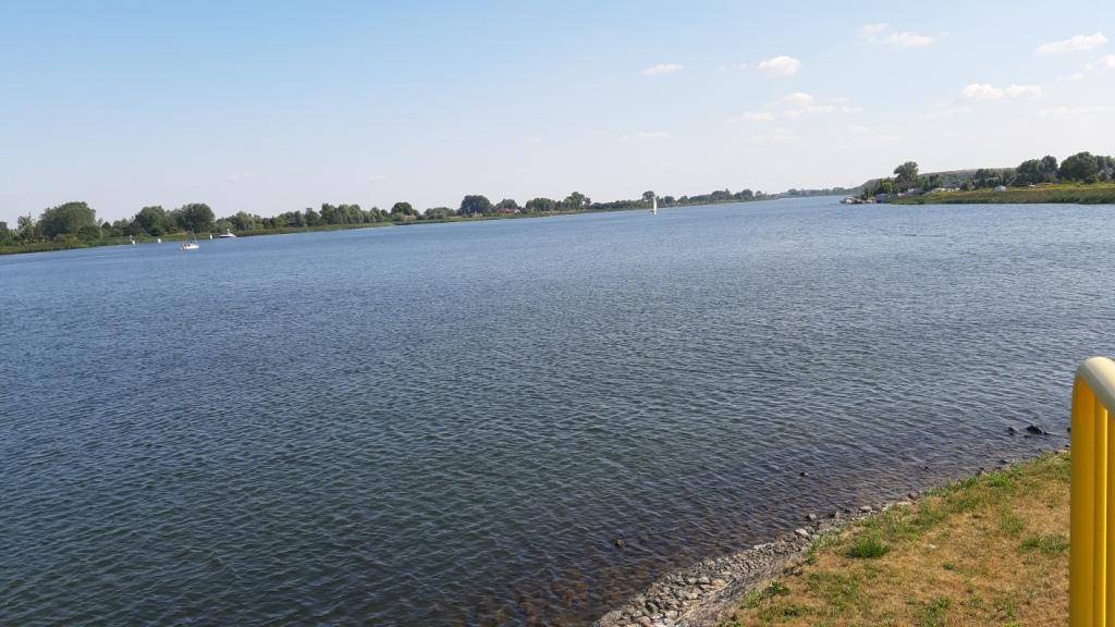 Zdjęcie 5