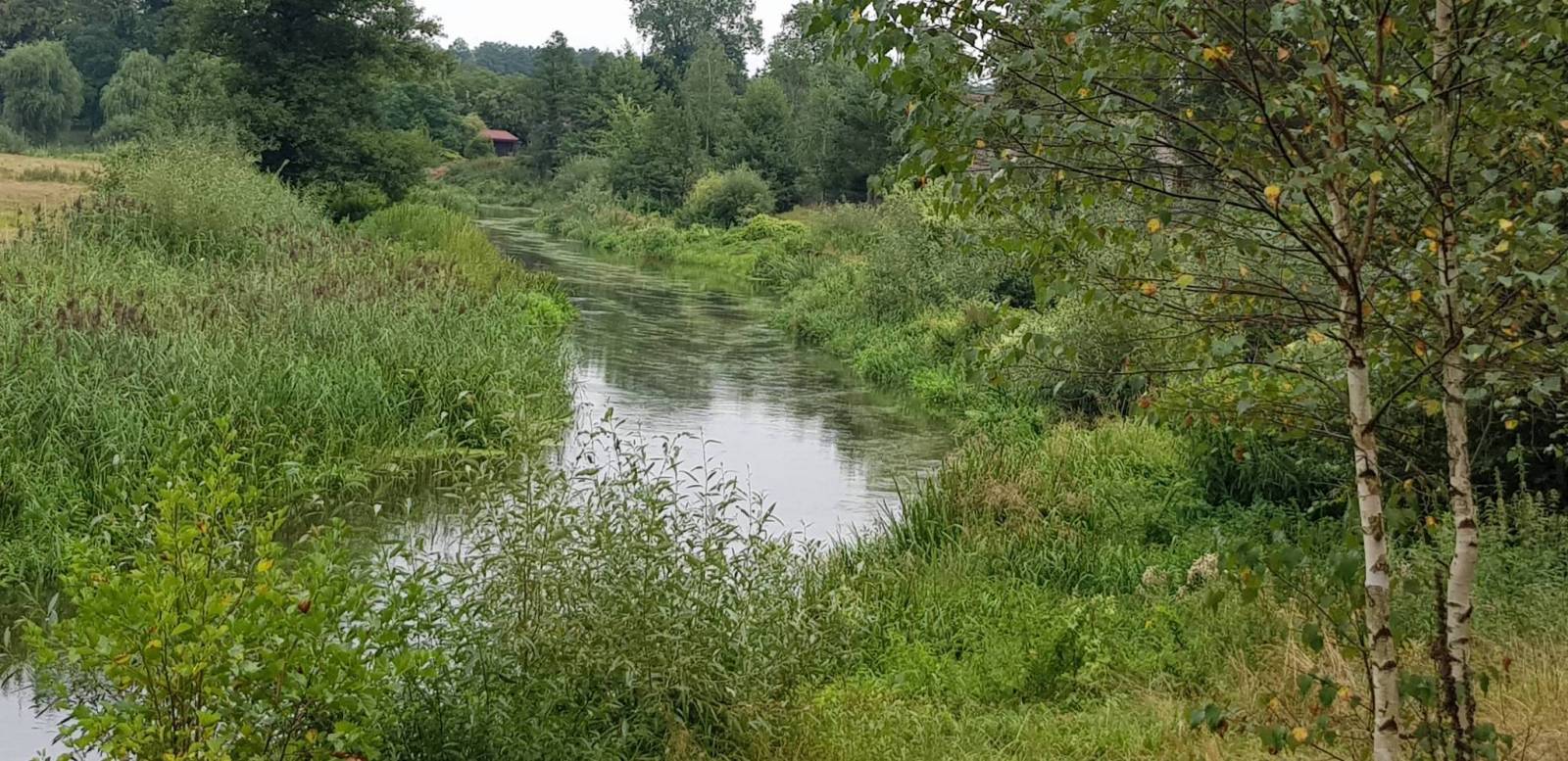 Zdjęcie 5