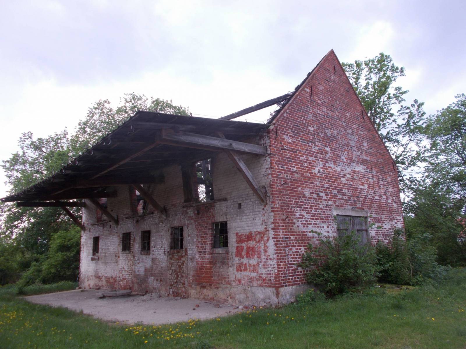 Zdjęcie 4