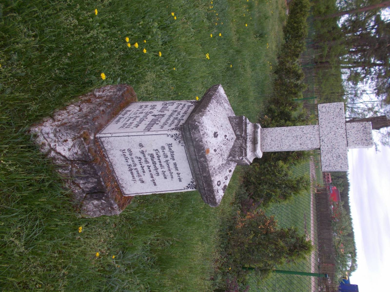 Zdjęcie 5