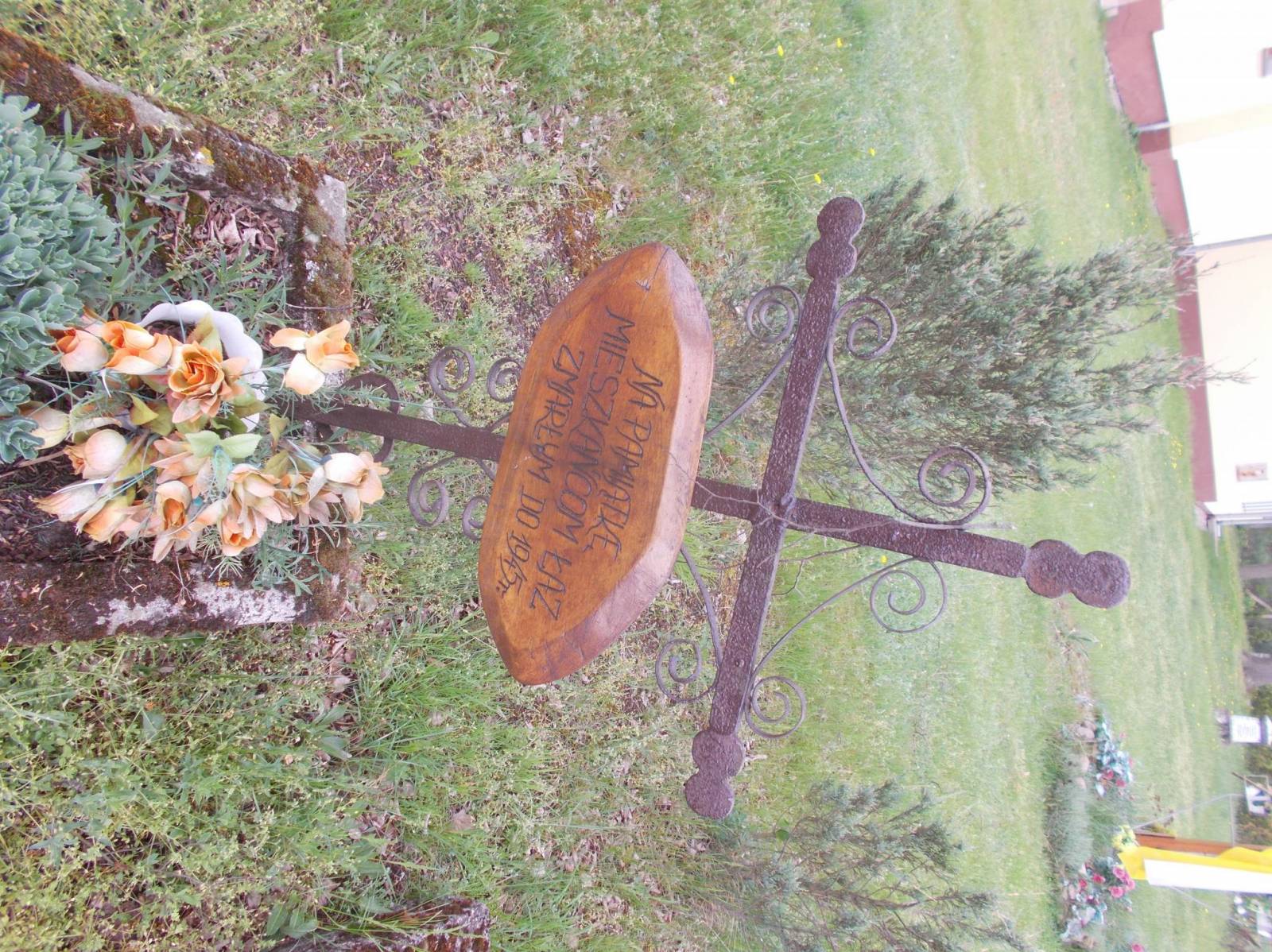 Zdjęcie 6