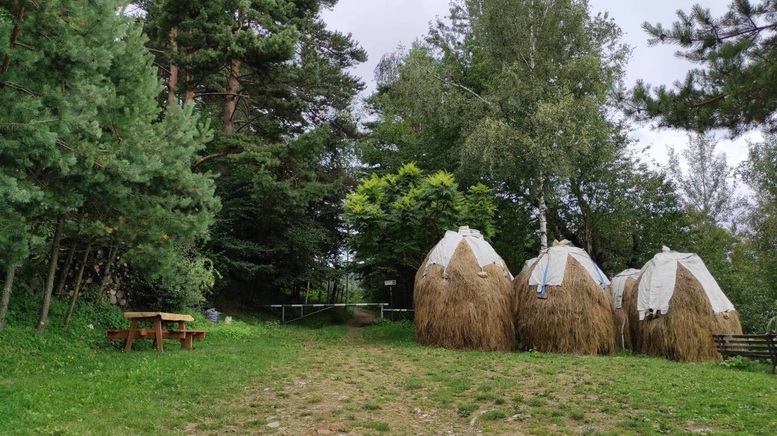 Zdjęcie 6