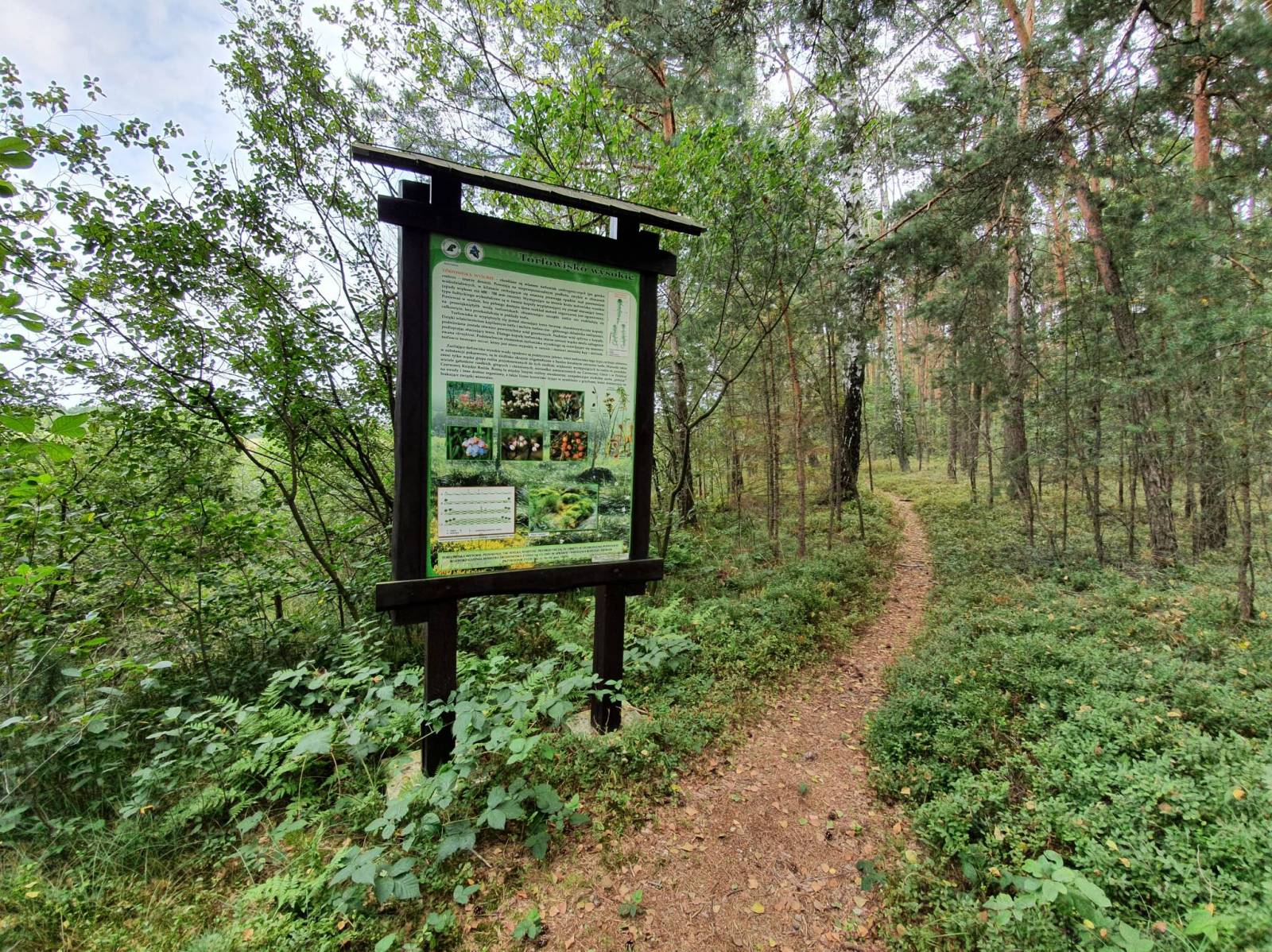 Zdjęcie 6