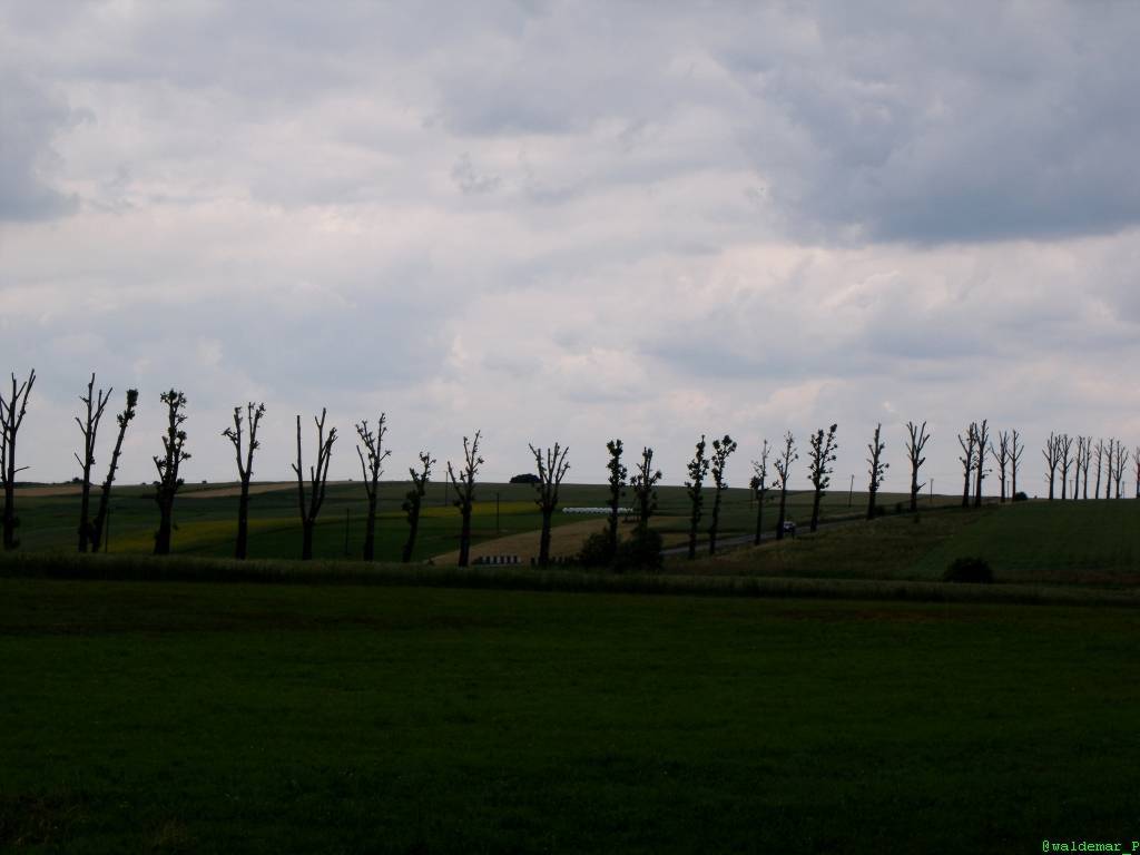 Zdjęcie 6