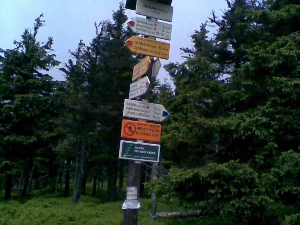 Zdjęcie 4