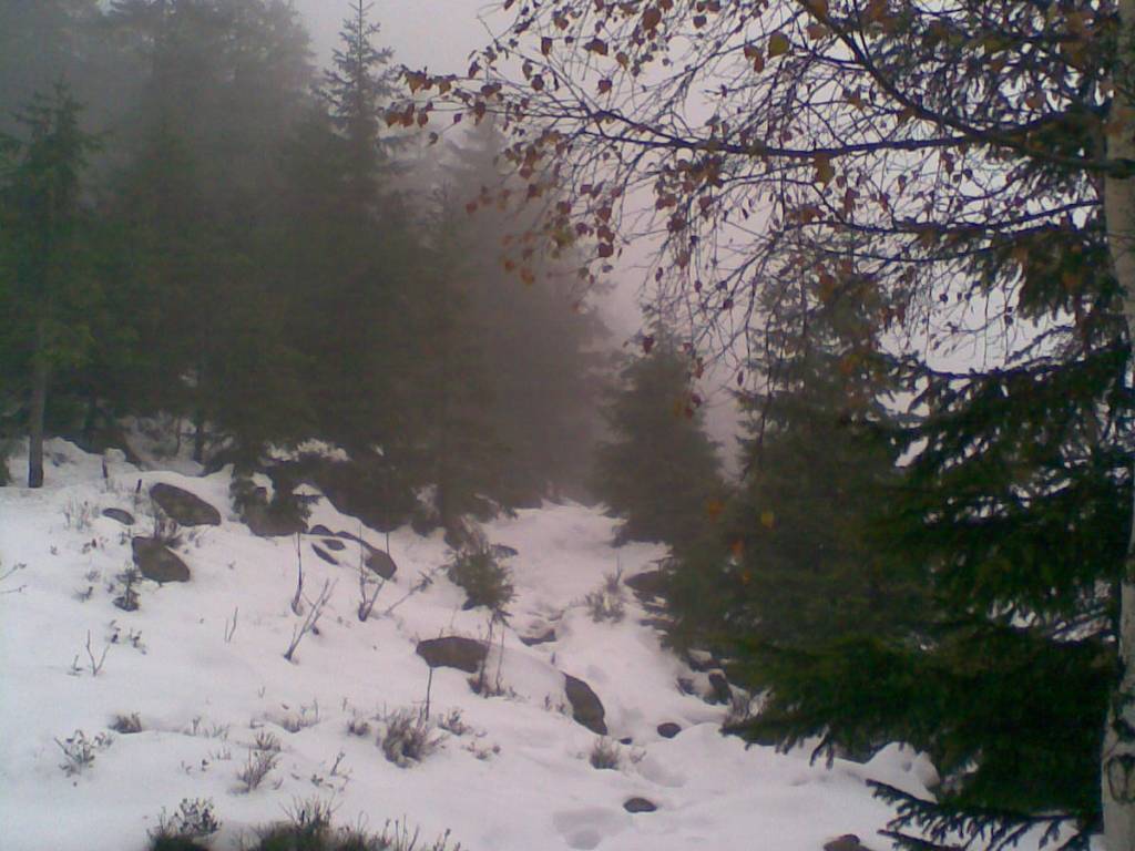 Zdjęcie 2