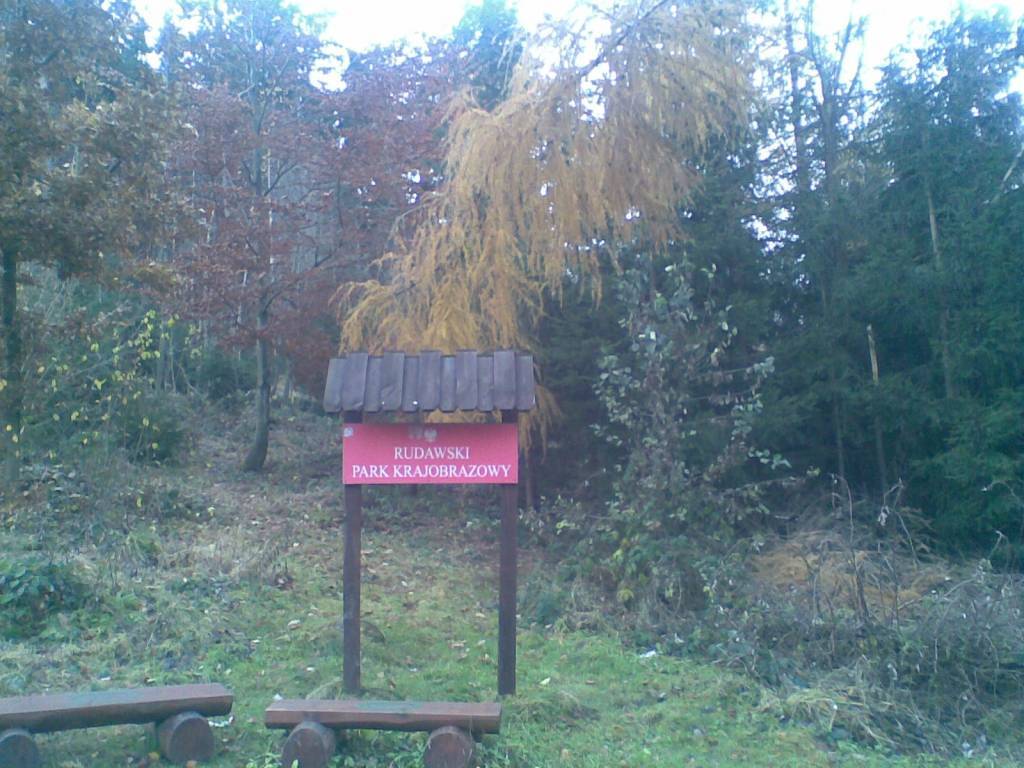 Zdjęcie 3