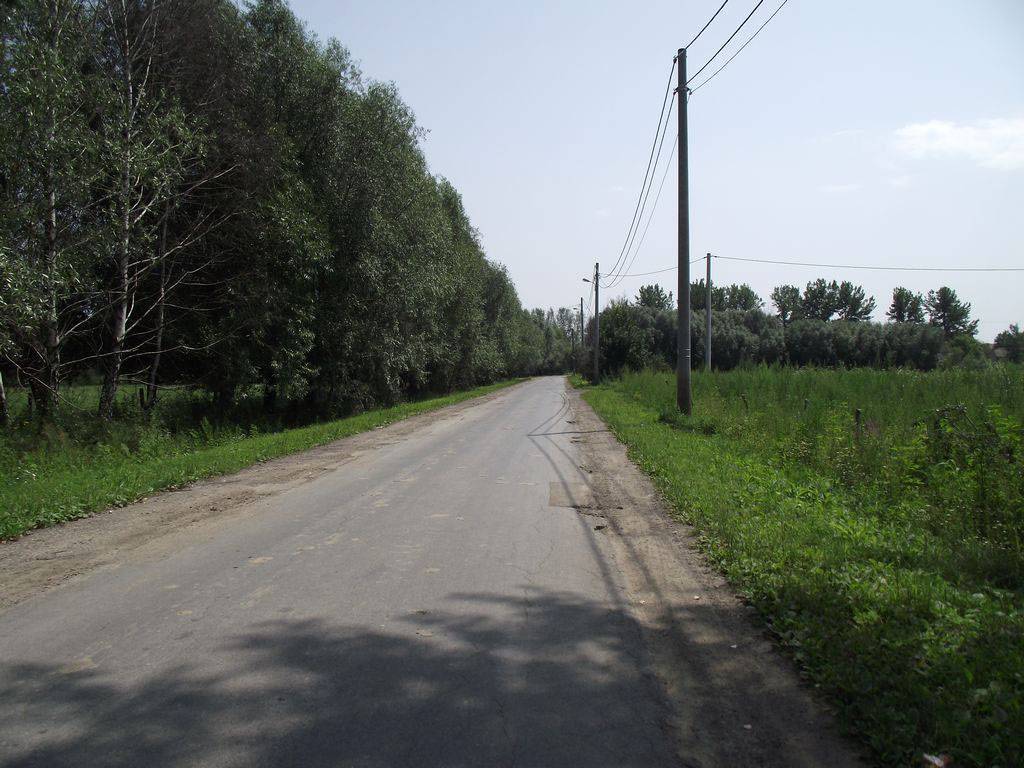 Zdjęcie 4