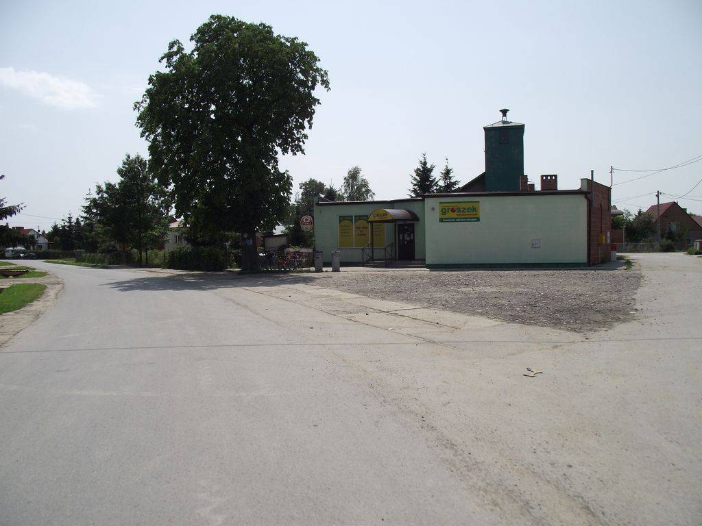 Zdjęcie 6