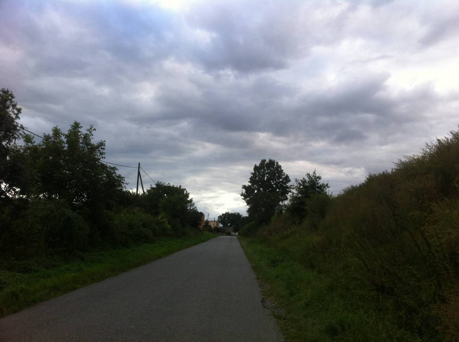Zdjęcie 6