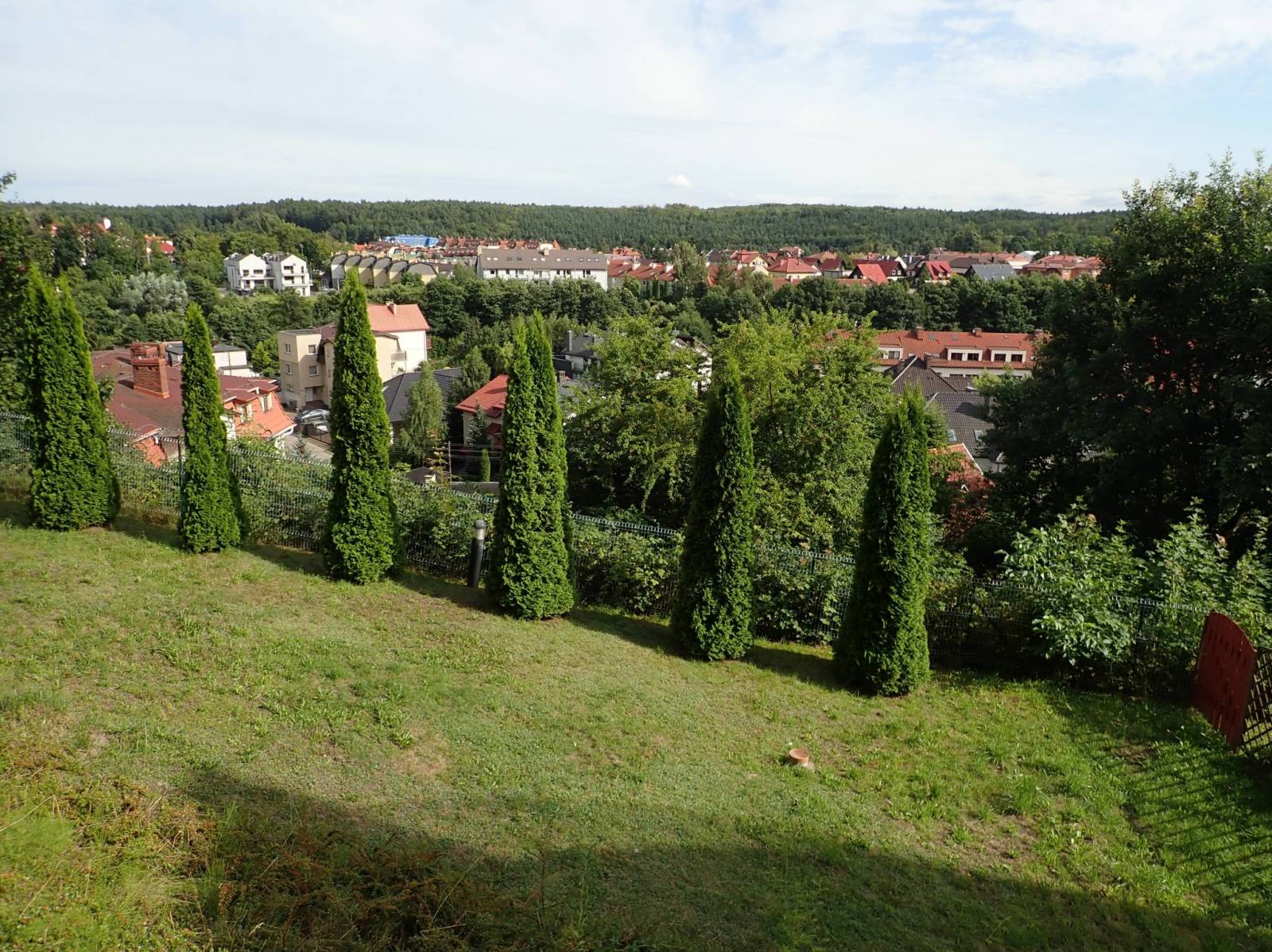 Zdjęcie 6