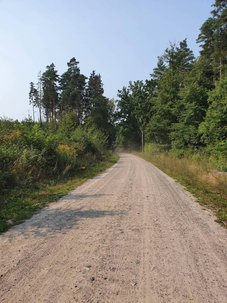 Zdjęcie 2