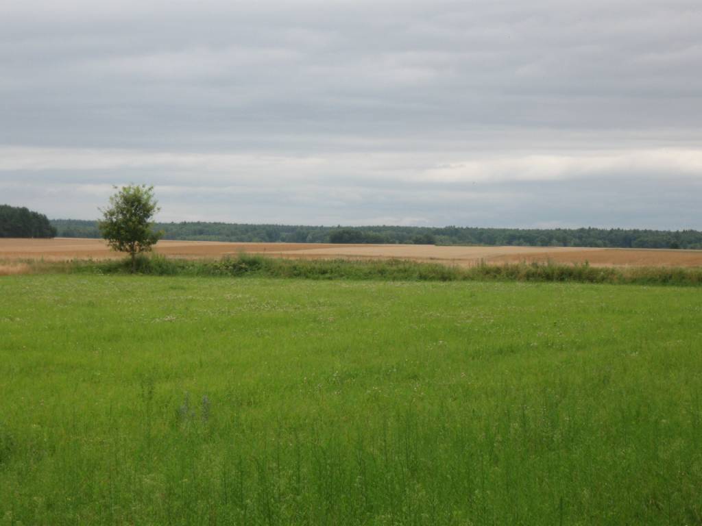 Zdjęcie 2