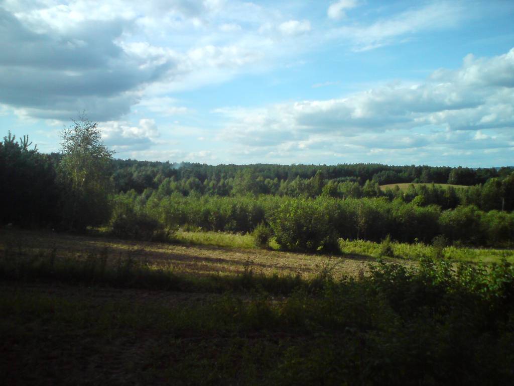 Zdjęcie 6