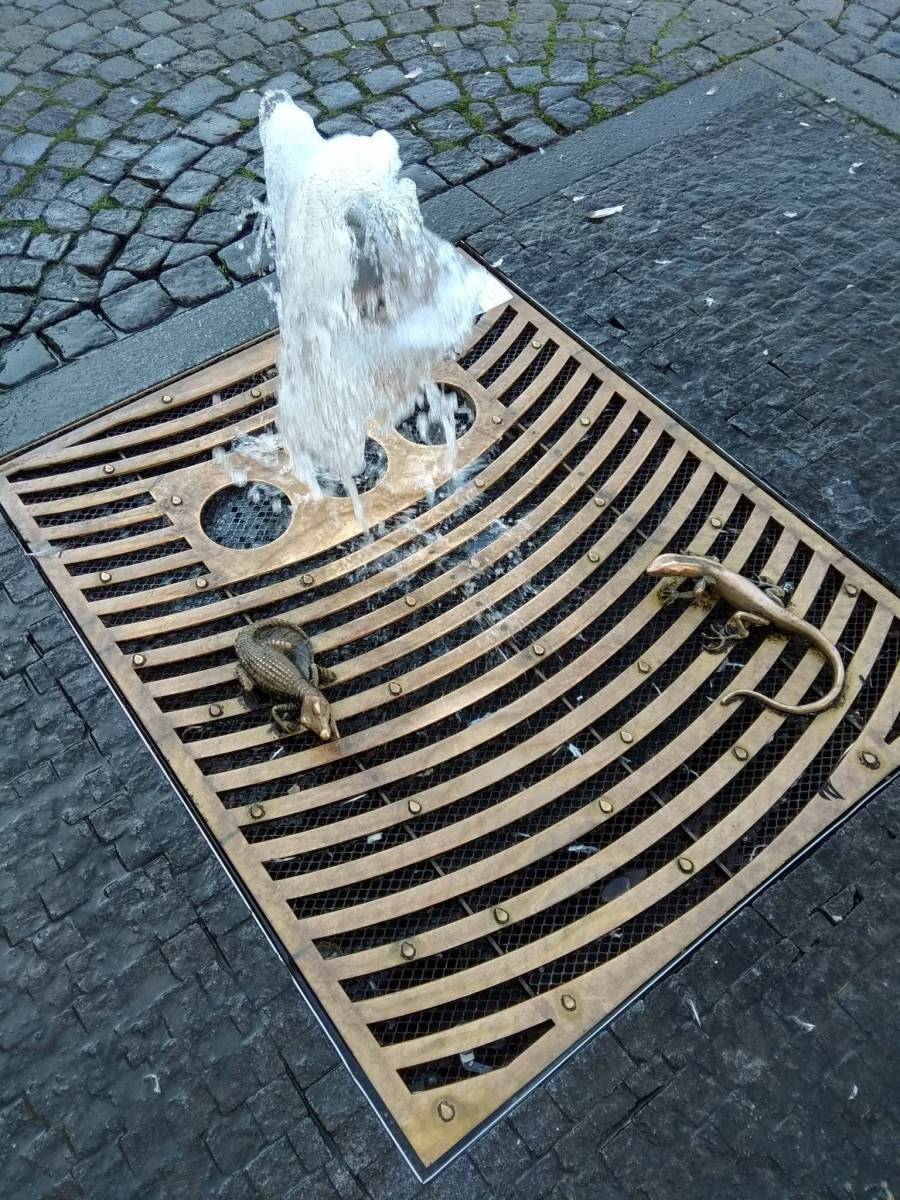 Zdjęcie 6