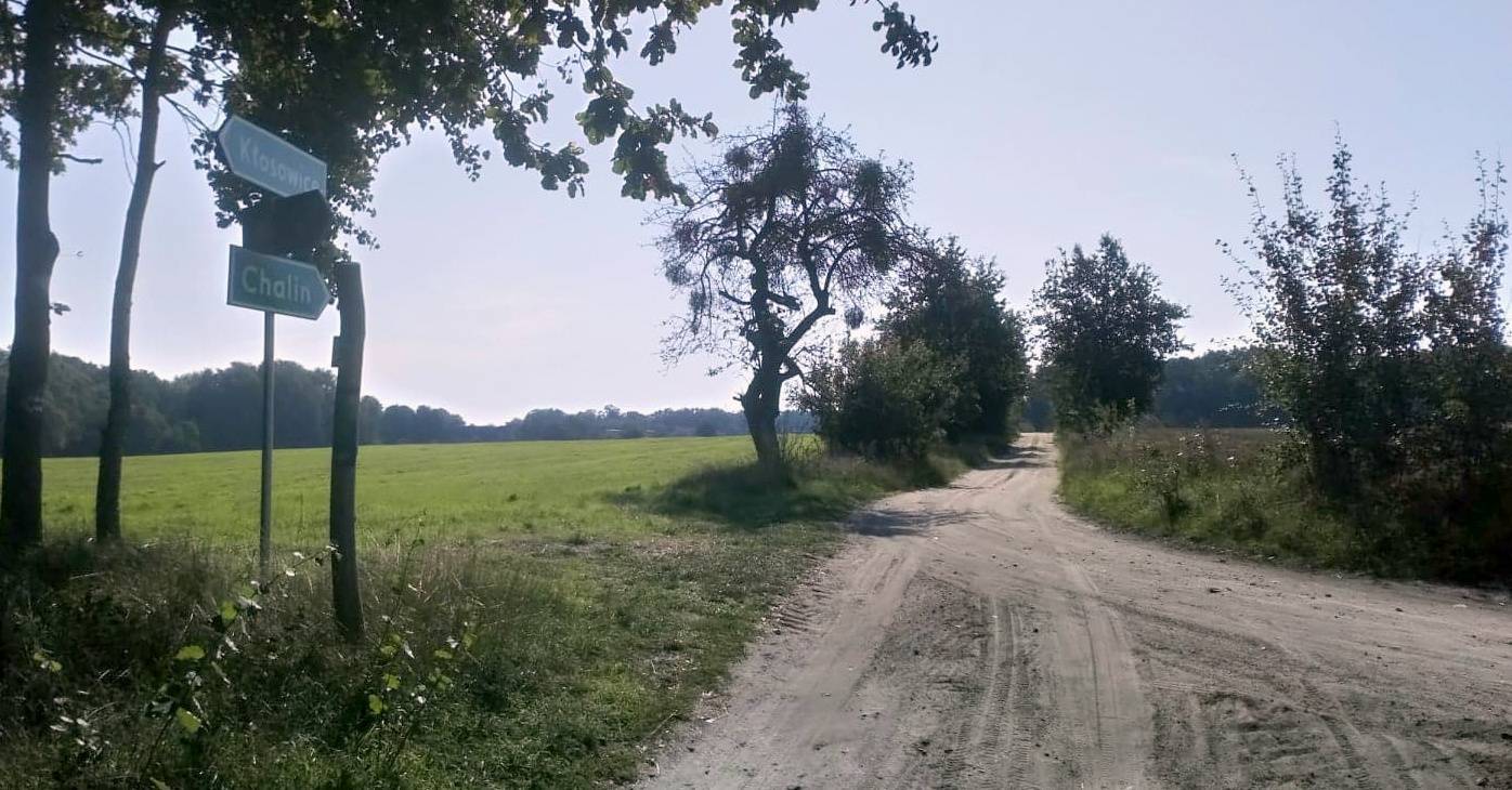 Zdjęcie 6