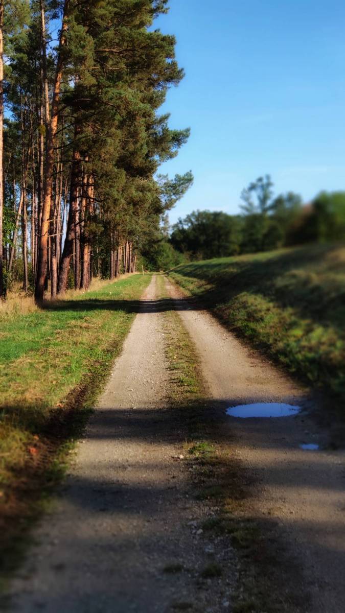 Zdjęcie 5