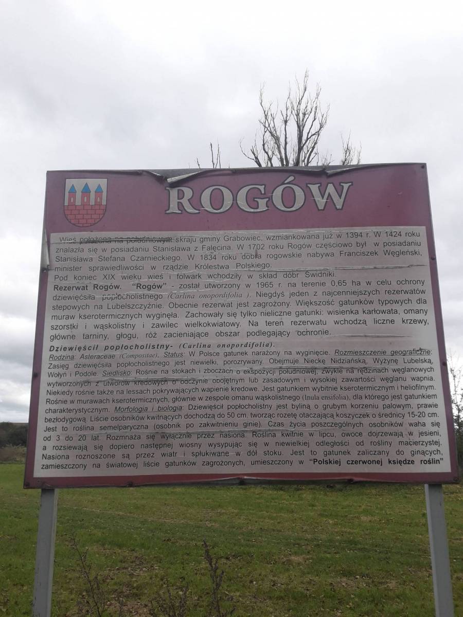 Zdjęcie 2
