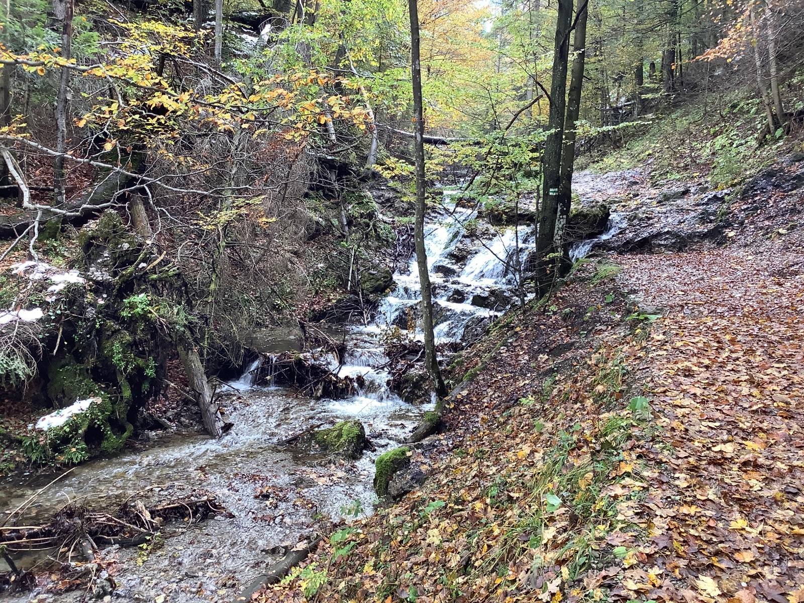 Zdjęcie 2