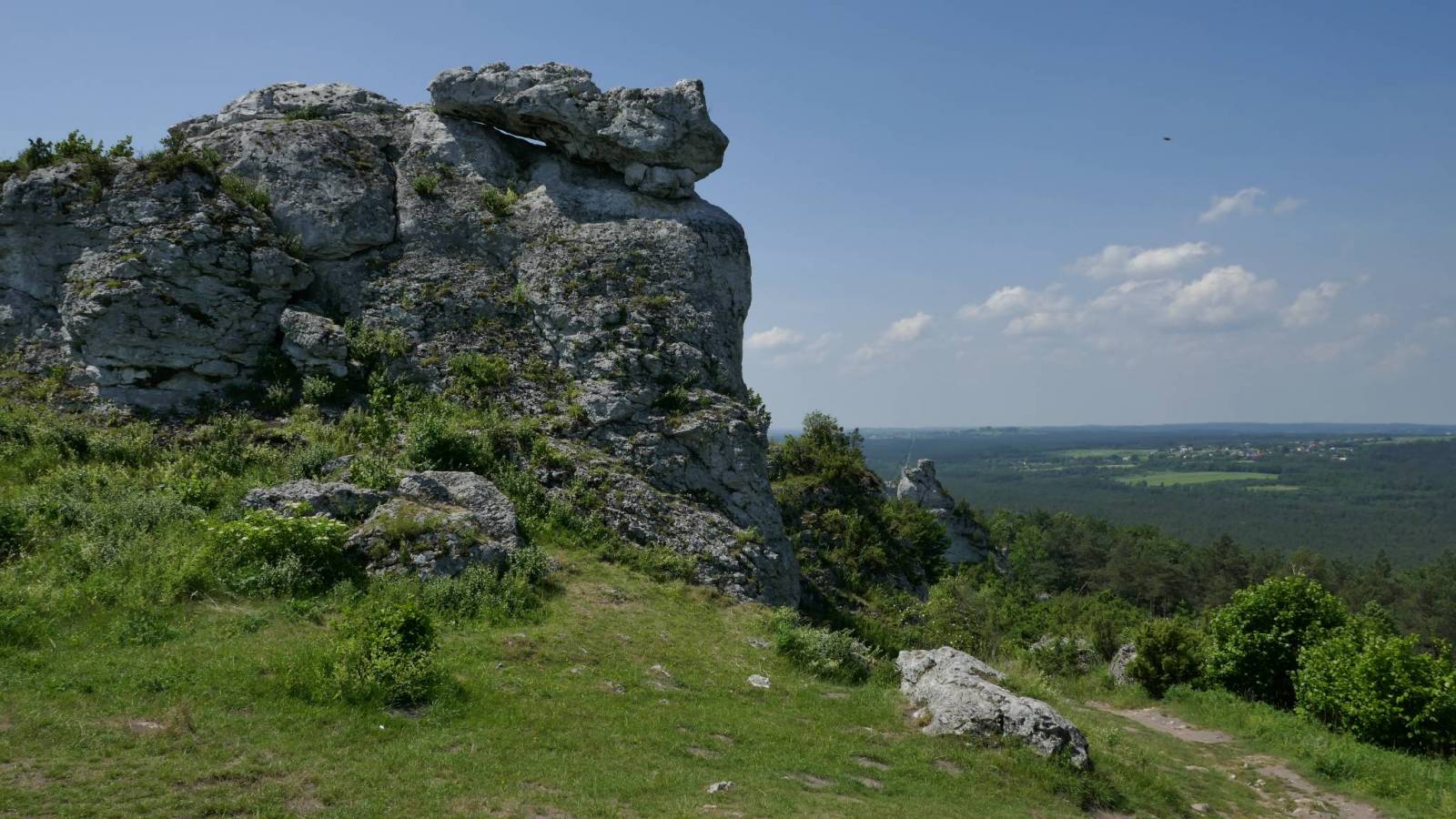 Zdjęcie 3