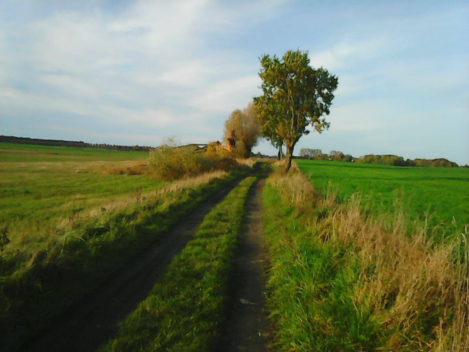Zdjęcie 5