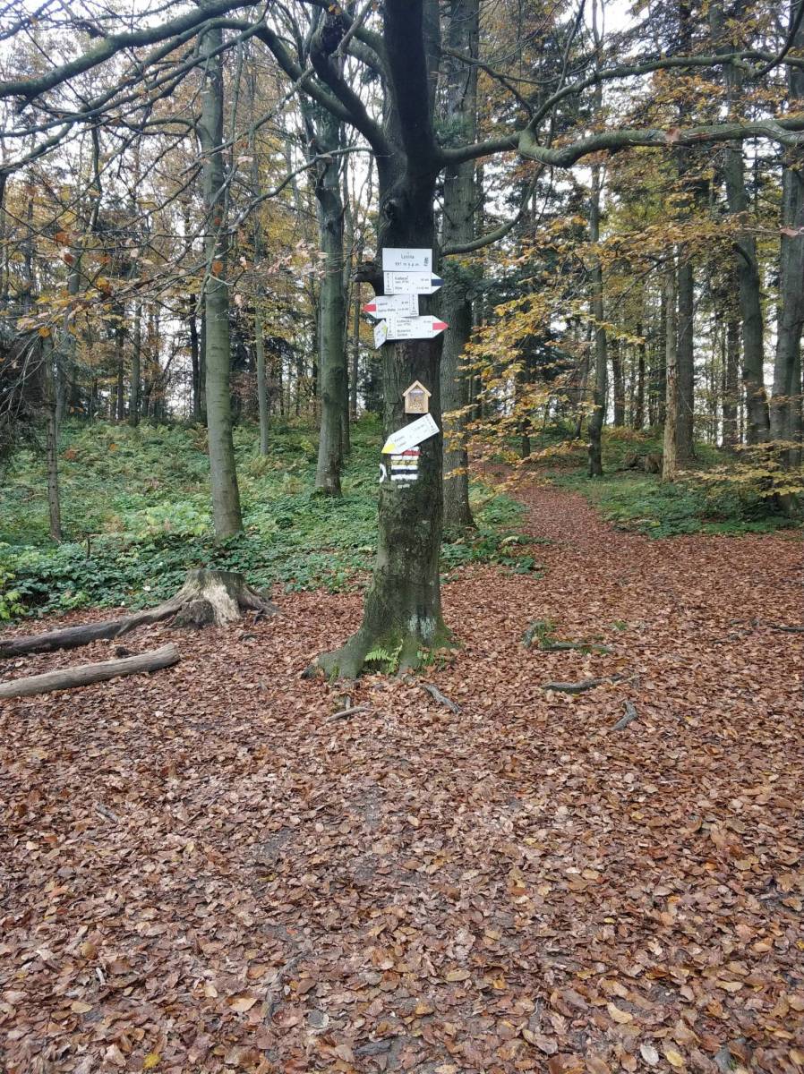 Zdjęcie 2