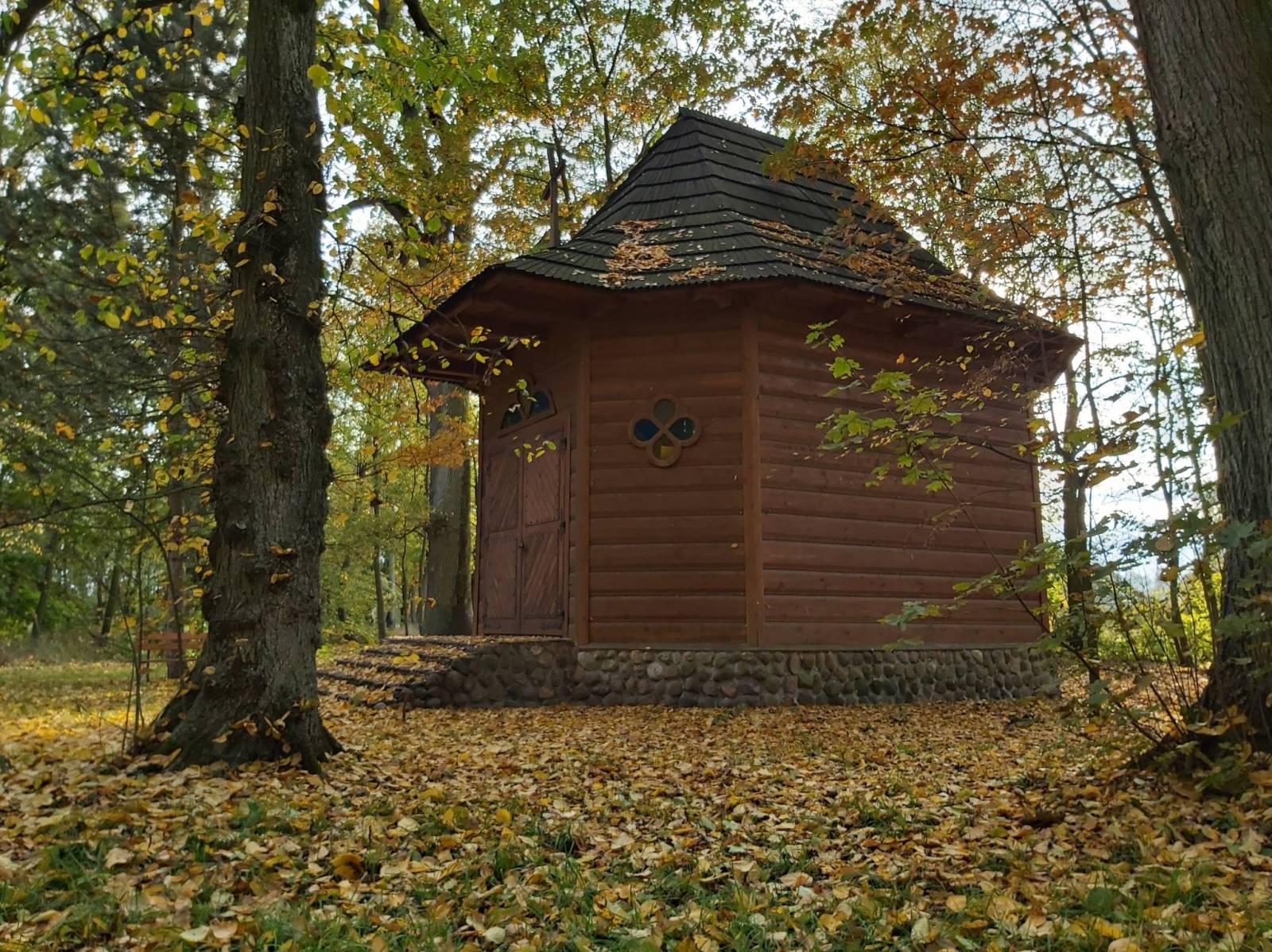 Zdjęcie 6