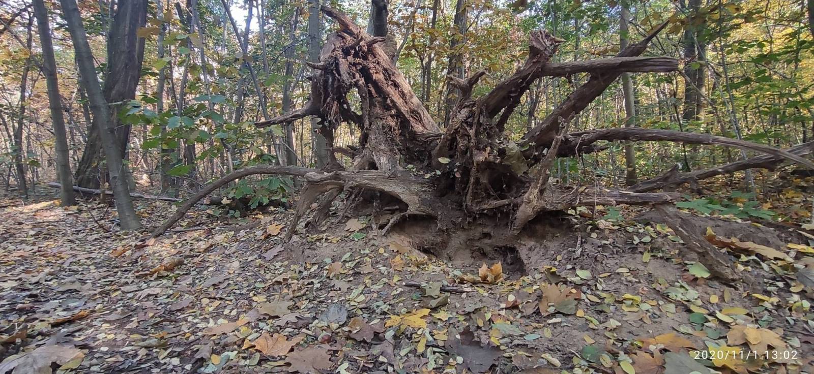 Zdjęcie 2