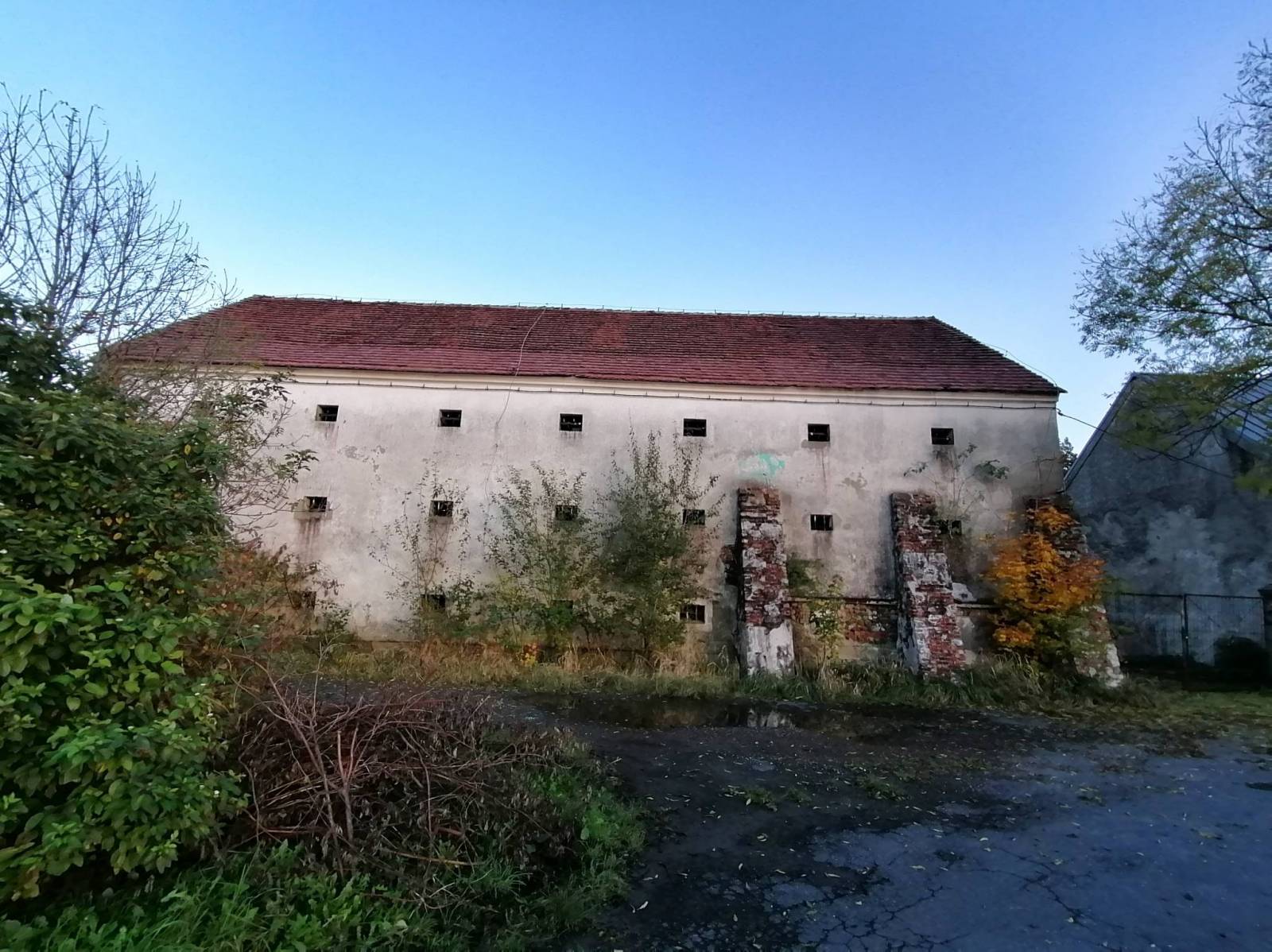 Zdjęcie 4
