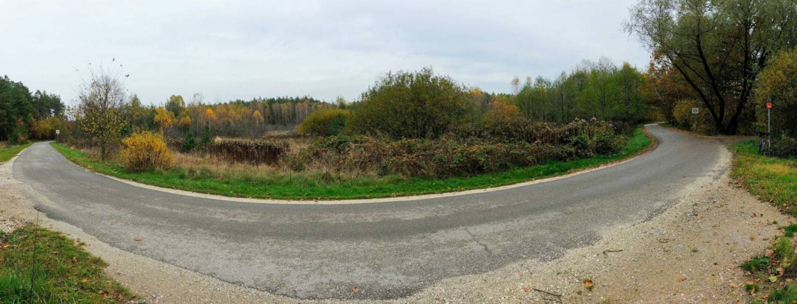 Zdjęcie 6