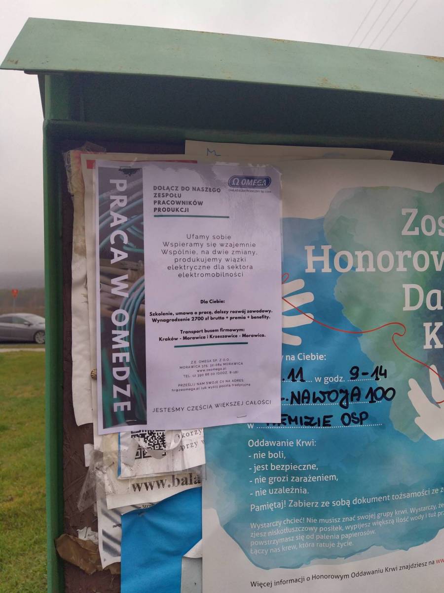 Zdjęcie 6
