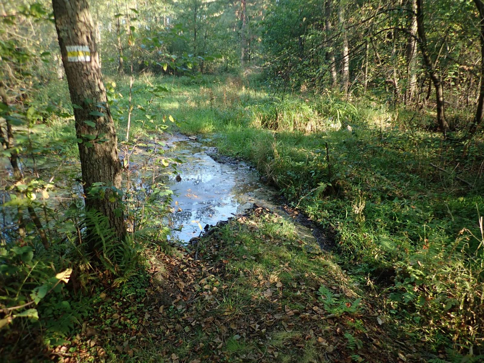 Zdjęcie 3