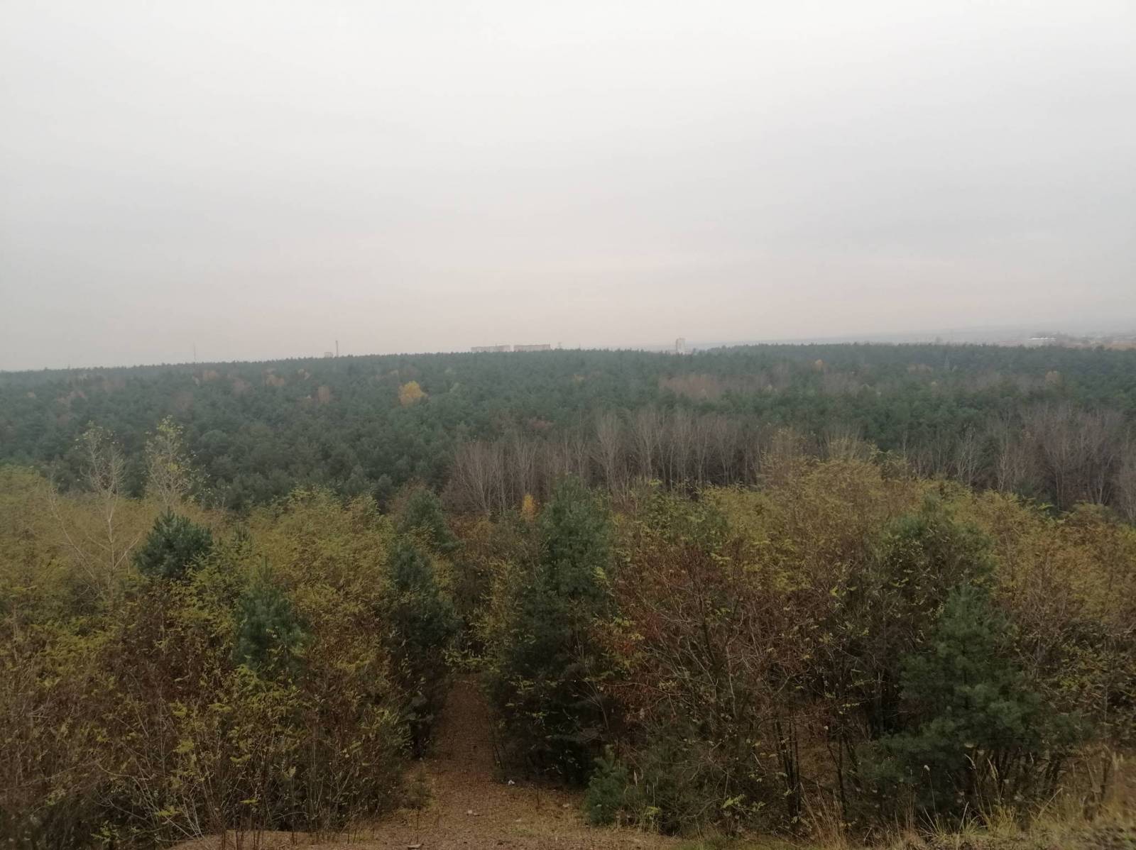 Zdjęcie 2