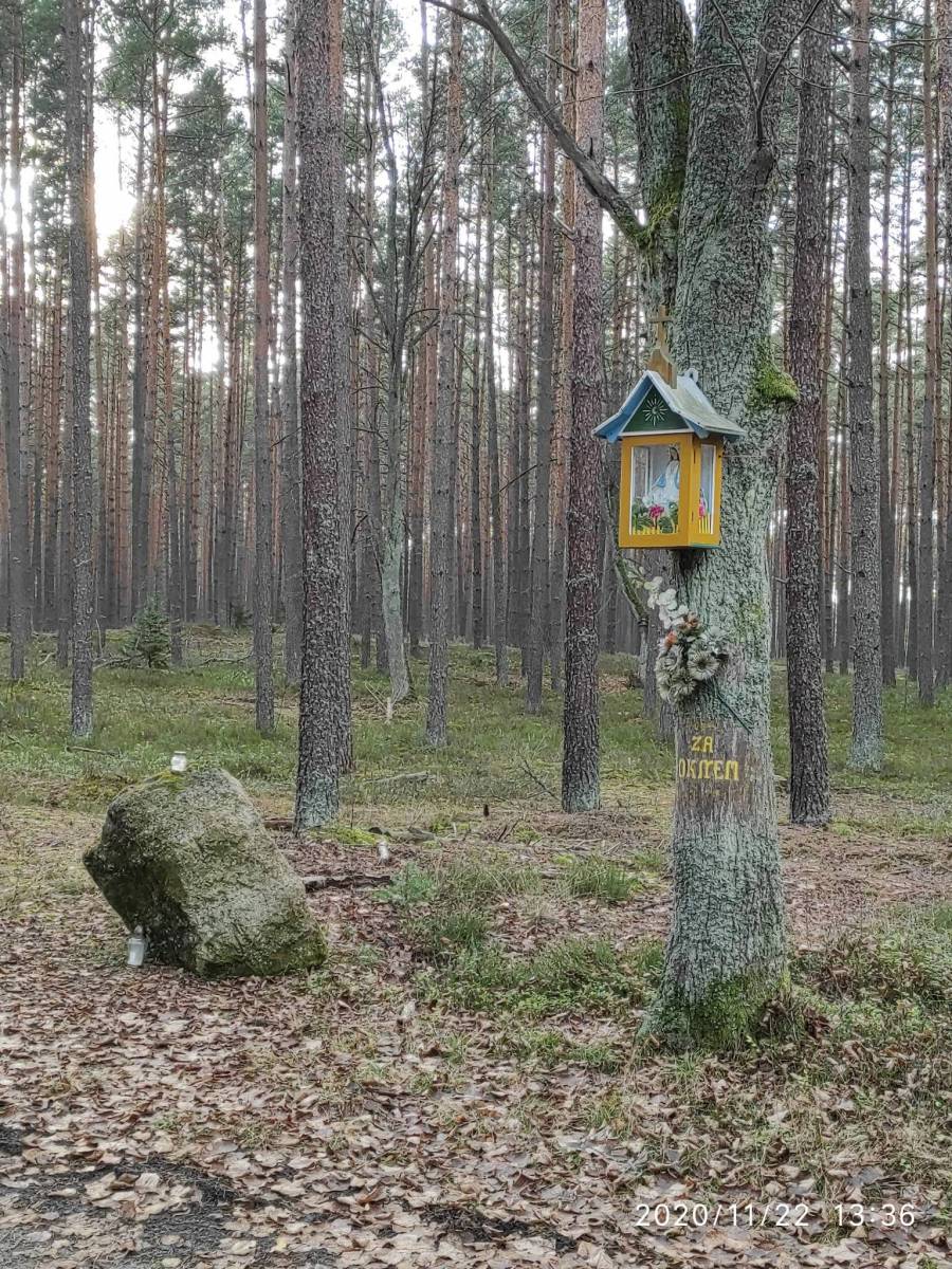 Zdjęcie 2