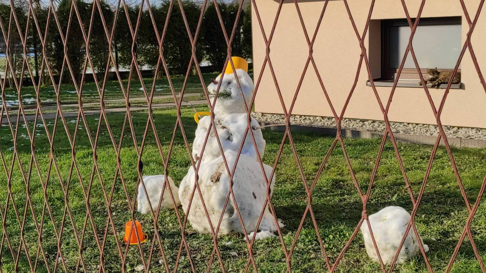 Zdjęcie 6
