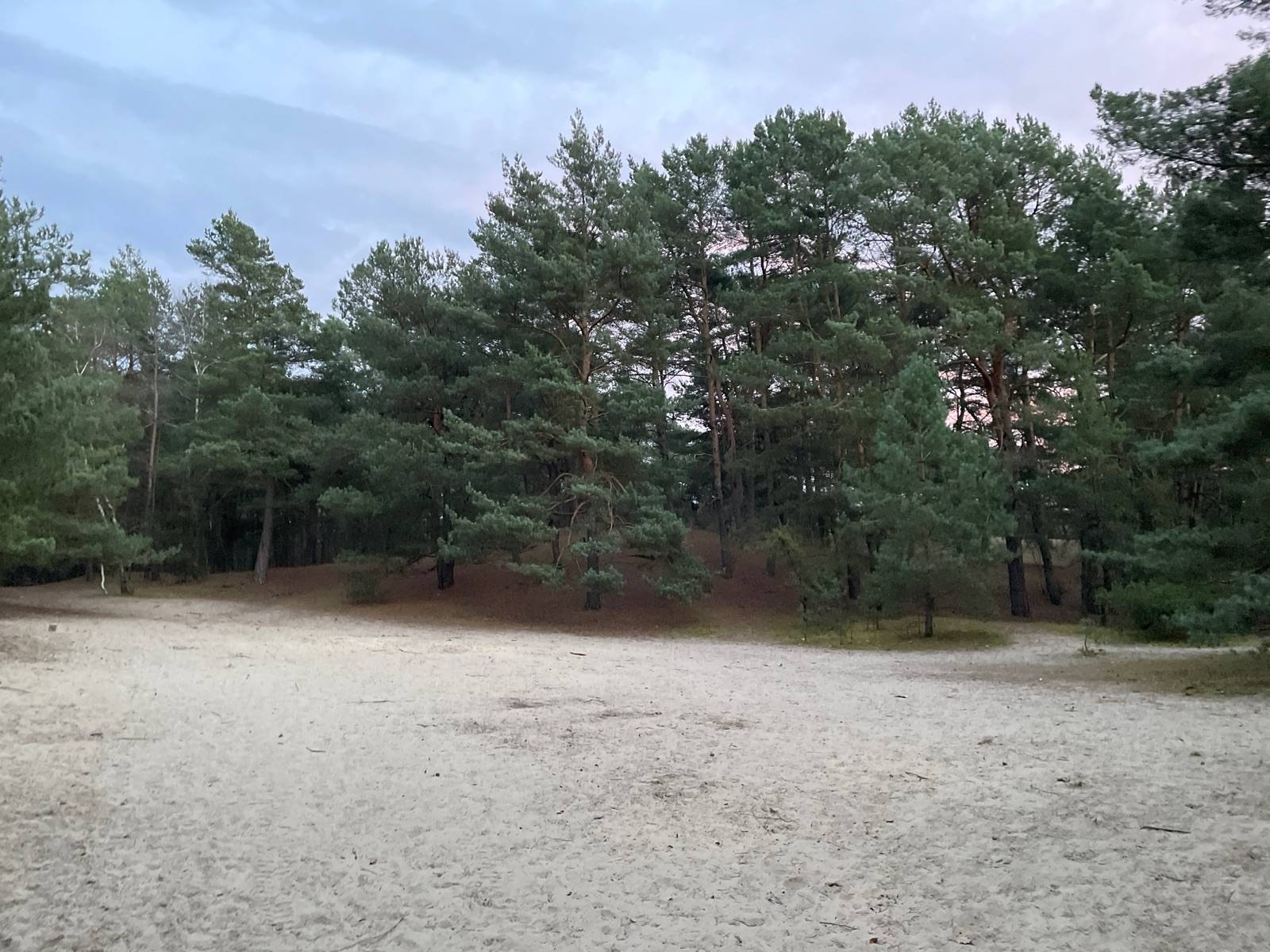 Zdjęcie 6